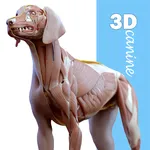 Complete Canine 3D - anatomy icon