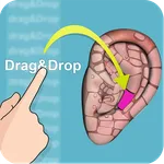 Drag&Drop Reflexology- ears icon