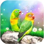 Bird Sounds and Ringtones icon