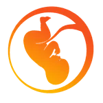 Embryology icon