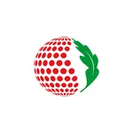 Bizkaia Pilota icon