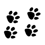 ШагомерLite icon