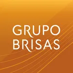 Conectividad Brisas icon