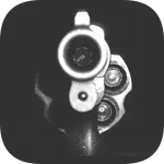 Gun Wallpaper icon