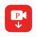 Pinterest Video Downloader icon