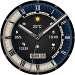 Classic Signature 11 icon