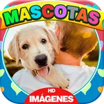Imágenes de Mascotas icon