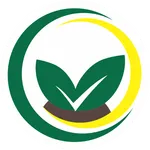 HAI LÚA icon