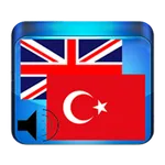 Sözlük sesli internetsiz icon