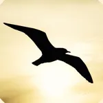 Travel Budget Manager icon