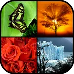 Photo Wall FX Live Wallpaper icon