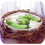 Unusual Bed Design icon