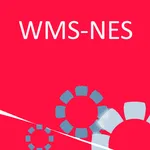 WMS Nes icon