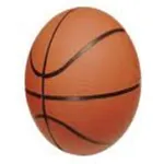 Basketball Stats icon
