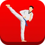 Taekwondo Workout At Home icon