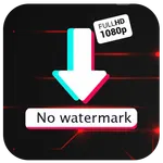 Tik Downloader No Watermark icon
