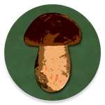 Book of Mushrooms icon
