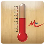 Thermometer icon