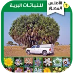 الأطلس المصور للنباتات البرية icon