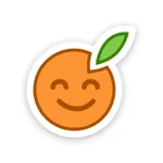 Colorful Choices icon