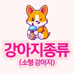강아지 종류(소형) icon