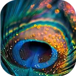 Mor Pankh Wallpaper icon