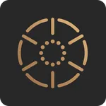 Better Life by Hintsa Performa icon