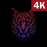 Dark Black Wallpapers HD 4K Am icon
