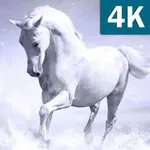 Horses Wallpapers HD Live Beau icon