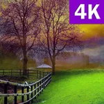 Nature Wallpapers HD Beautiful icon