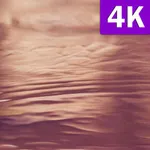 Fondos de Oro Rosa HD Bonitos  icon