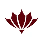 Cinco Ranch 311 icon