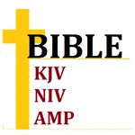 Bible 3V icon