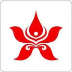 Hong Kong Airlines icon