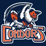 Bakersfield Condors icon