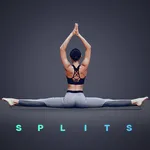 Splits in 30 Days - Stretching icon