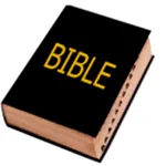 Bible en Français icon