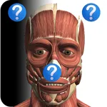 Anatomy Quiz icon