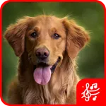 Dog Sound icon