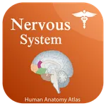 Nervous System Anatomy - Atlas icon