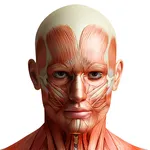 Human Anatomy Pro 2024 icon