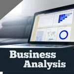 Business Analysis icon
