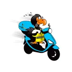 HD RIDER icon