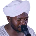 Nureen Mohammad Offline Quran icon