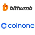news&issue icon