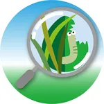 病害虫診断　EXPESTS icon