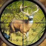 Wild Animal Hunting Games Gun icon