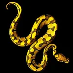 Snake icon