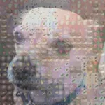 Cosmic Mosaic: Pixel Art icon