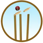 Cricket 2015 icon